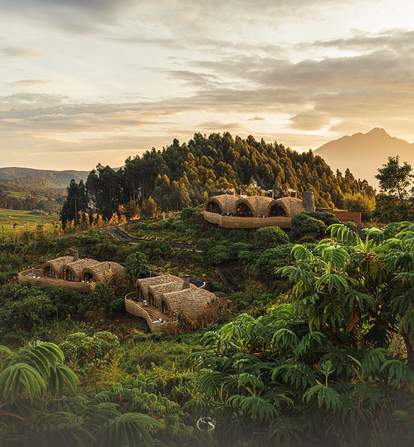 Thatched forest villas on a green hillside beneath the Virunga volcanoes at dusk